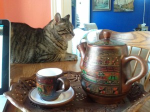 Las Chismosas & Zuko, Alpha Cat