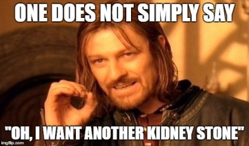 boromir kidney stone